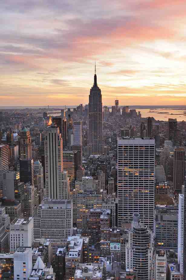 Wordpress seo services in New York.